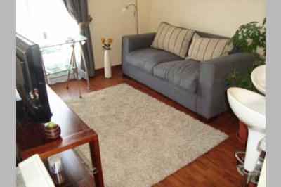 Alojamiento amoblado Monjitas - Metro Bellas Artes 5 (2010)